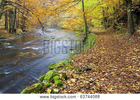 Metuje river in autumn, Czech Republic