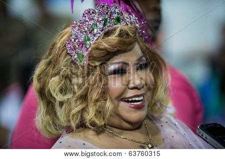 Carnaval 2014 - Rio de Janeiro