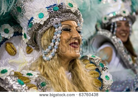 Carnival 2014 - Rio de Janeiro
