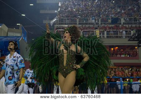 Carnival 2014 - Rio de Janeiro
