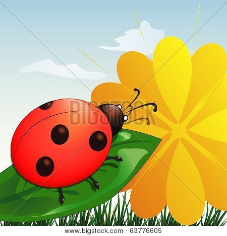 Ladybug on leaf