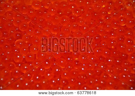 Caviar