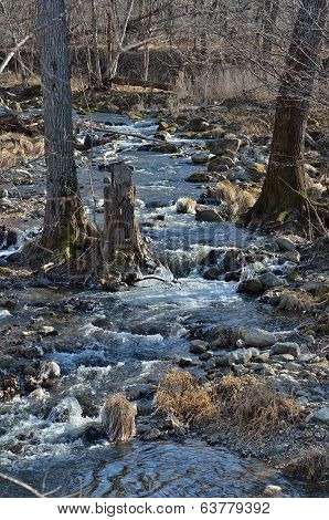 Woodsy Mountain River