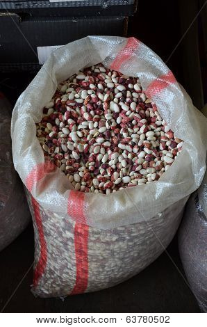 Pinto Beans In A Bag