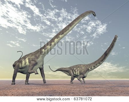 Dinosaur Mamenchisaurus