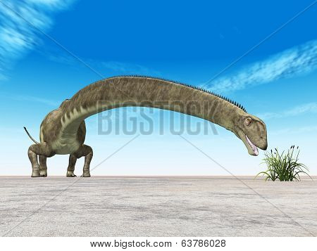 Dinosaur Mamenchisaurus