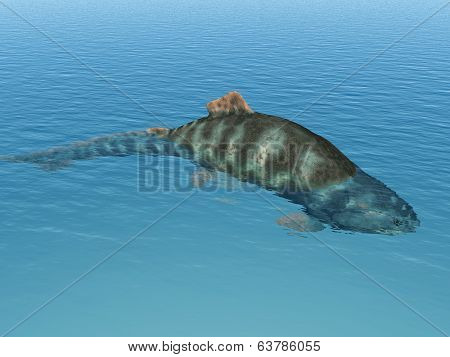 Dunkleosteus