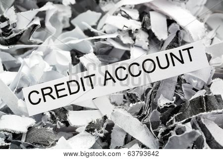 shredded paper tagged with credit account, symbolic photo for data destruction, finance and credit