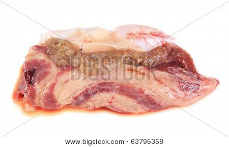 Close up of inside fish bowels.