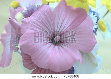 Pinkish flower