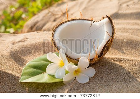 Coconut and frangipani