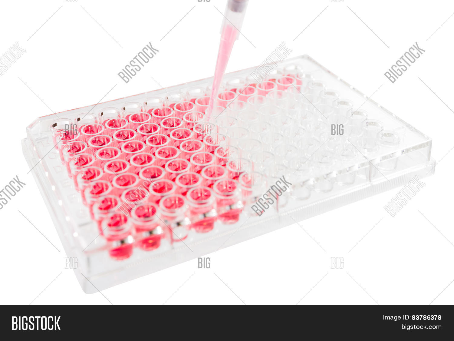 Research Test 图片和照片(免费试用) | Bigstock