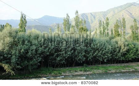 Ambiente naturale