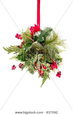 Mistletoe