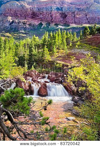 Late Afternoon On Redrock Trail