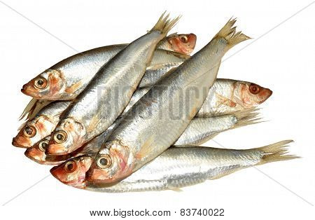 Fresh Fish Sprats