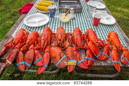 Steamed Lobsters on Picnic Table