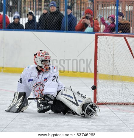 Goalkeeper Playing Sledge Hockey