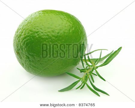 Tijm en Laim.lemon