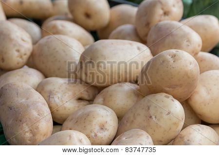Potato