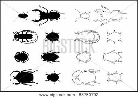 Silhouettes Of Bugs