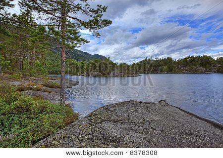 Norweski Las