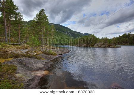 Norweski Las