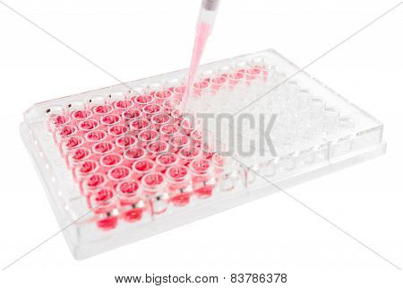 research test lab elisa plate analysis