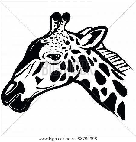 Giraffe Head 1