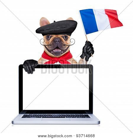 French Proud   Dog
