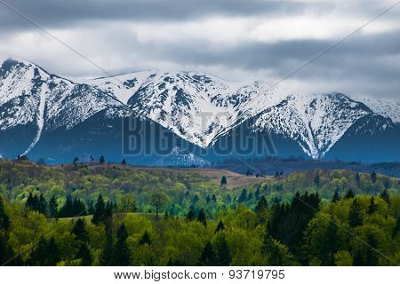 Mountain