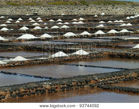 Salina del Carmen salt evaporation ponds
