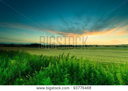 Beautiful Sunset On A Spring Field