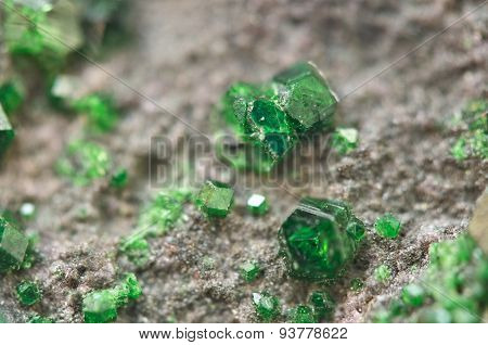 Uvarovite Is A Chromium-bearing Garnet. Macro.