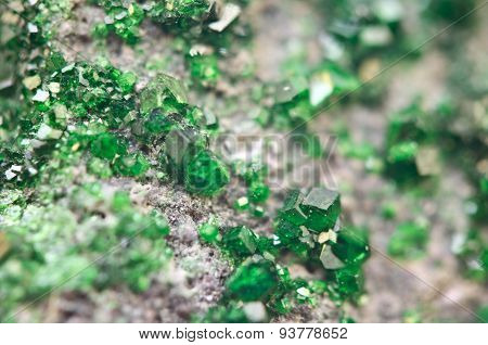 Uvarovite Is A Chromium-bearing Garnet. Macro.