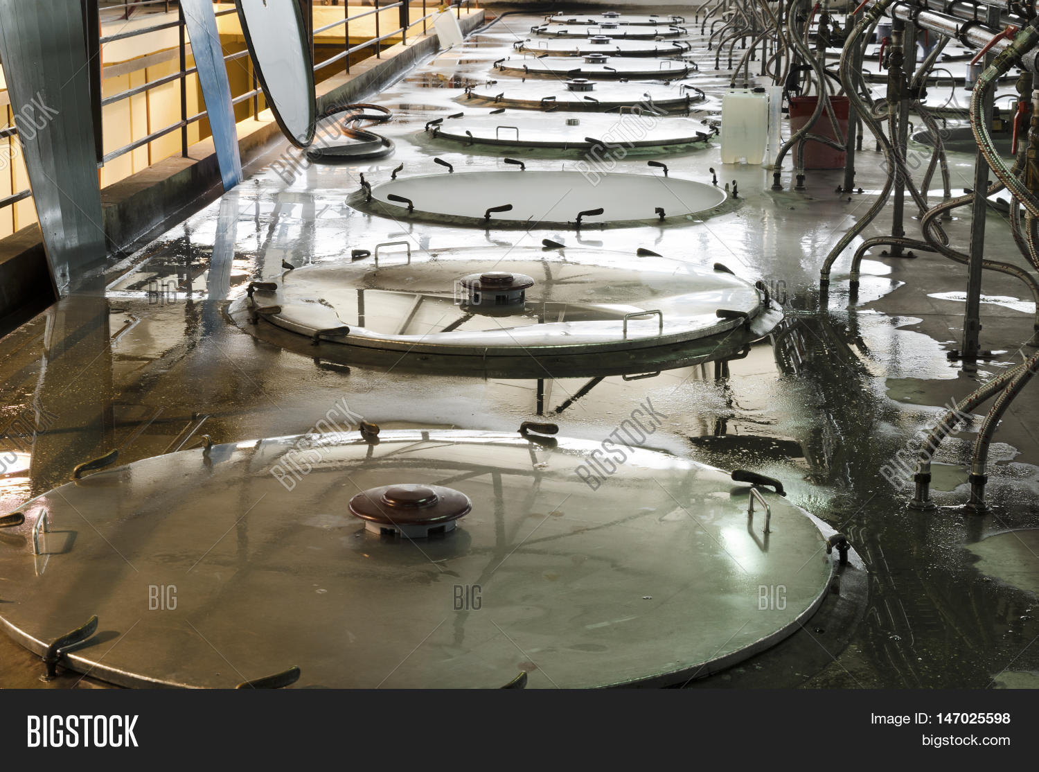 Cleaning Fermentation Image & Photo (Free Trial) Bigstock