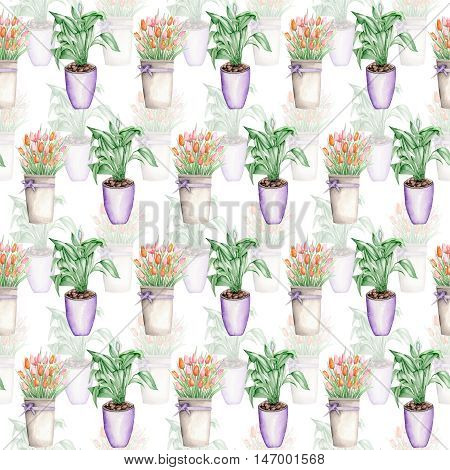Seamless pattern of the doubly tulips in a bucket and spathiphyllum painted in watercolor on a white background