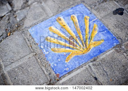 Santiago shell close up in Jaca, Huesca, Aragon, Spain.