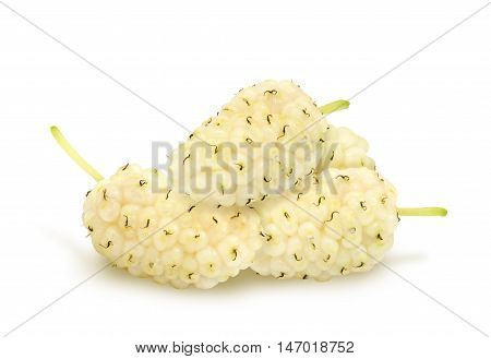 Isolated heap of fresh ripe white mulberry berries on white background. Design element for product label, catalog print, web use.