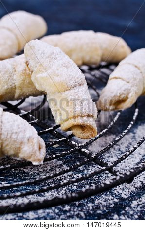 Homemade cookies twisted sprinkled with powdered sugar on a dark background. Selective focus.