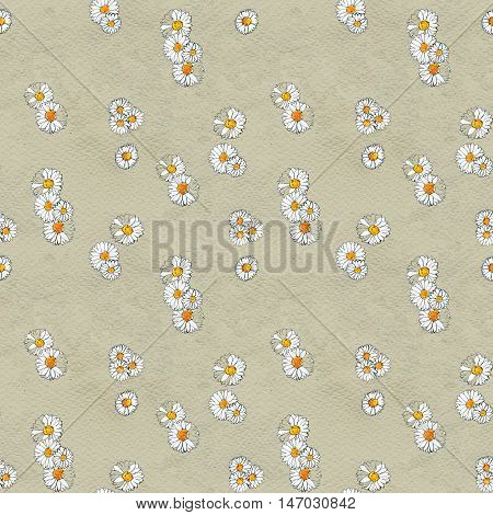 Seamless floral pattern with daisy flowers. Floral watercolor background.