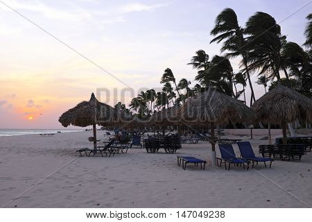Beach umbrellas and beach chairs on Manchebo beach on Aruba island at sunset