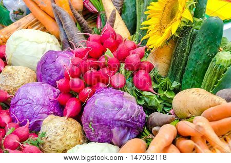 pink radish and variety of vegetables vegan background