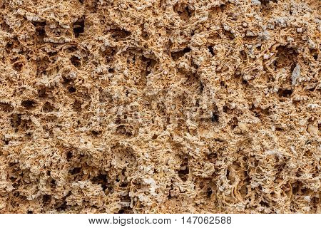 Background. The texture of limestone and lime close up. Formed by sedimentary rocks.