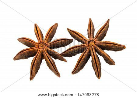 star anise  badian on a white background