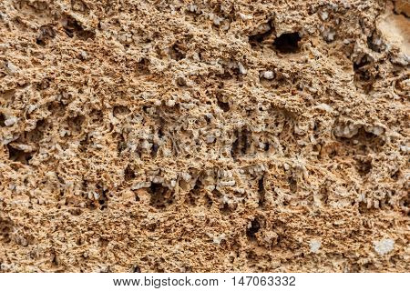 Background. The texture of limestone and lime close up. Formed by sedimentary rocks.