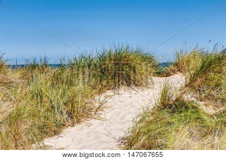 Beach And Dunes With Beachgrass