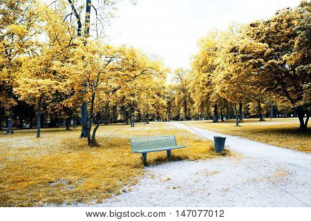 Exotic and magic Park of Pateira de Fermentelos,Portugal,Europa.