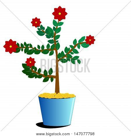 plant growing out of gold coins isolated on white