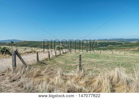 View of rangeland for cattle in northern Spain